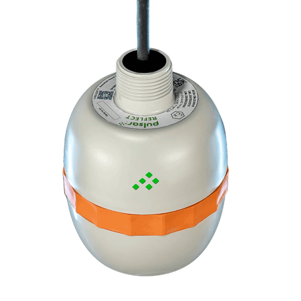 Pulsar Measurement REFLECT